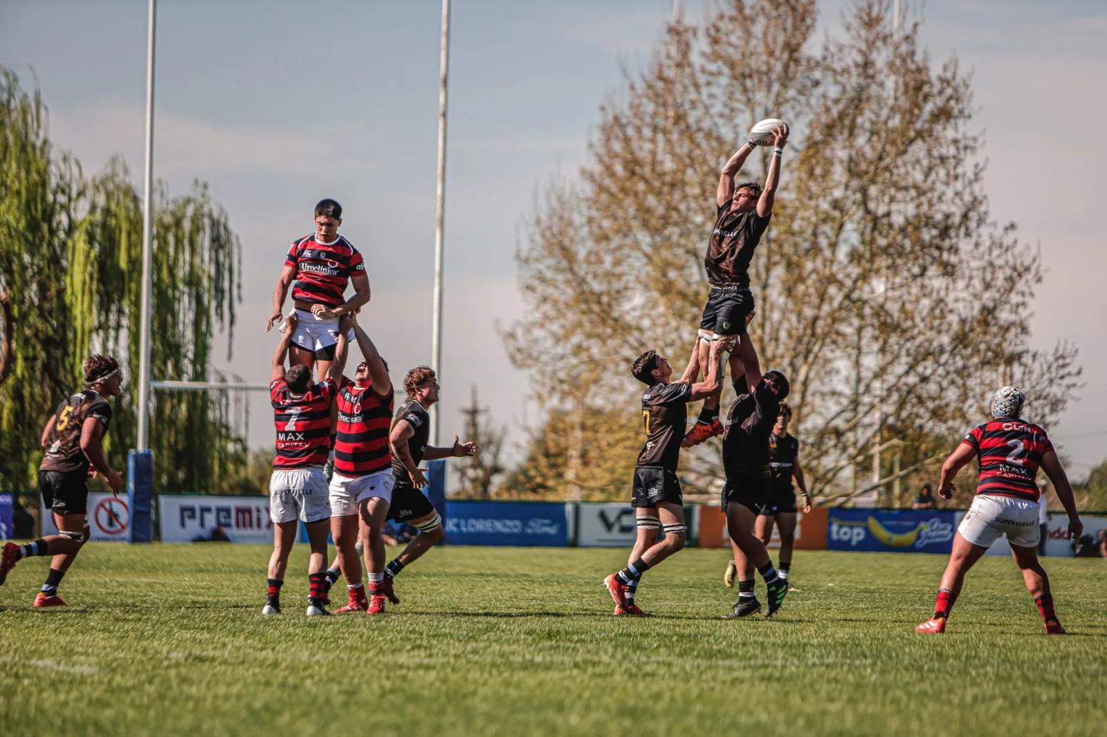 Intense lineout action during a competitive rugby match on a sunny day.