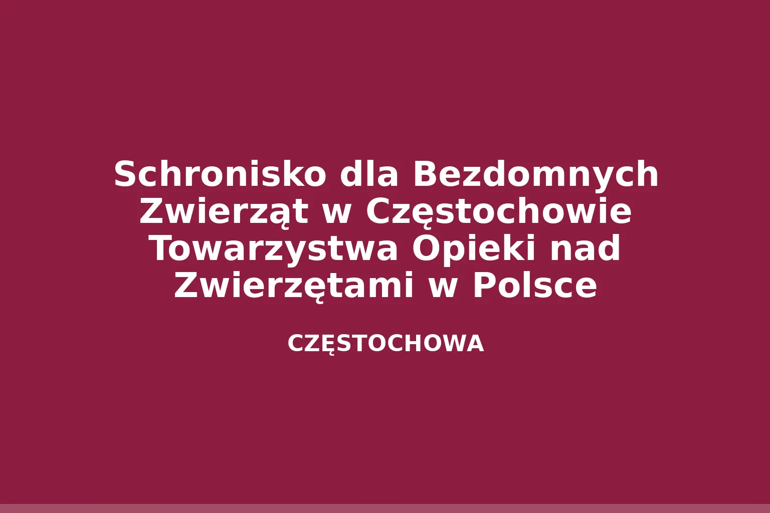 Schronisko dla Bezdomnych Zwierząt w Częstochowie Towarzystwa Opieki nad Zwierzętami w Polsce